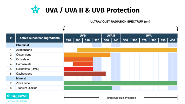 Active Sunscreen Ingredients UV UVA UVB Wavelength Protection Graph